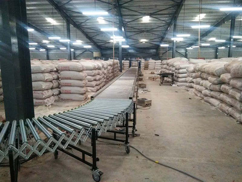 Bangladesh Tea Factory-Motorized Roller Conveyor
