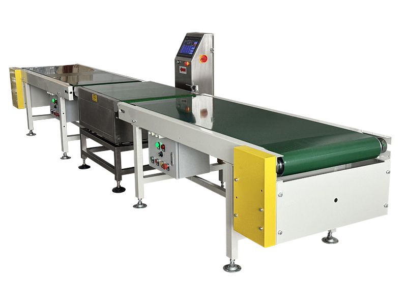 Continuous Dynamic Weighing Belt Conveyor - Integrated Conveying & Weighing Equipment
