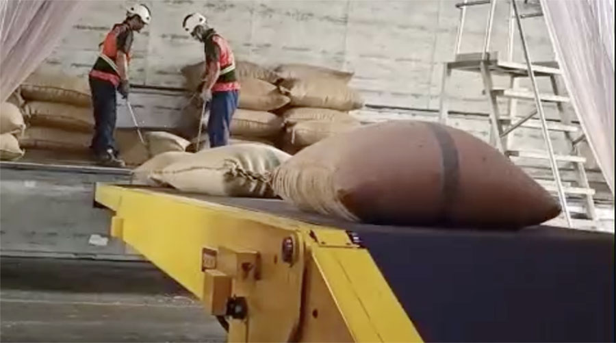 50kg Gunny Sack Warehouse Unloading & Stacking Integrated Line | Custom One-Stop Solution