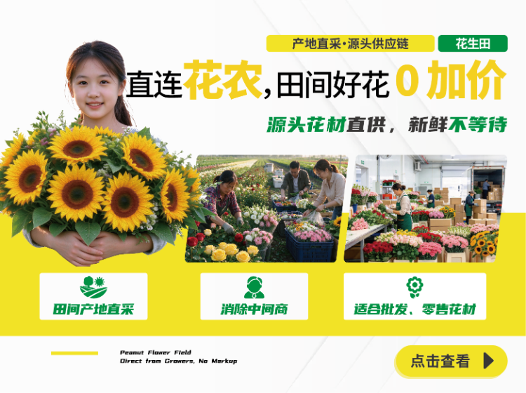 新轮播图
